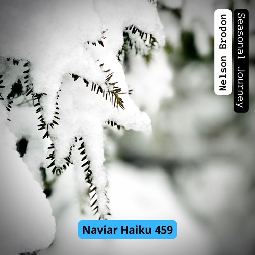 Nelson Brodon - Seasonal Journey (NaviarHaiku 459)