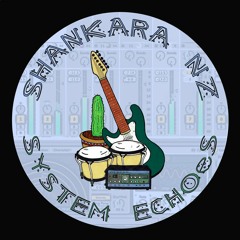 Shankara NZ - Cycle (preview)