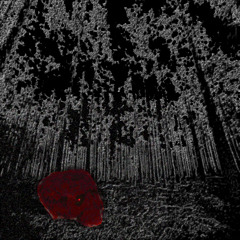 1D0N7B310N6#3R3 (Slowed + Reverb)
