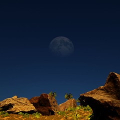 Rarecandy freestyle(snippet)