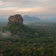 Sounds of Sri Lanka Sound Compilation NEW