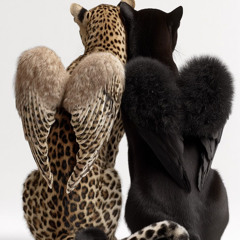 active               ⇄ @vade