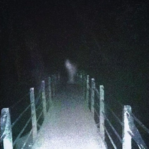 Paranoia