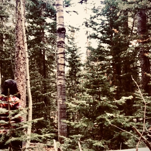 Stream Faye Lynn Richards Listen to Crystalline playlist online for