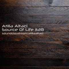 Atilla Altaci - Source Of Life #28