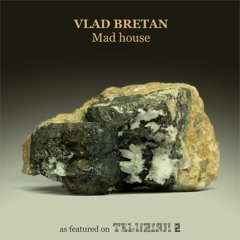 Vlad Bretan - Mad House (snippet)