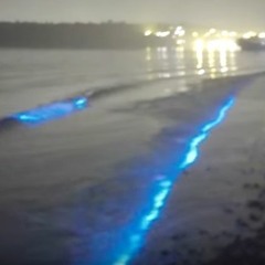 letzter chance_cover