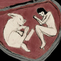 Wenn Fische Träume Tanzen