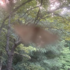 avari - lavish + celine (arnaud)