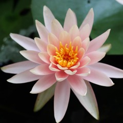 Preparing for meditative relaxation