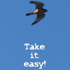 Take it easy!