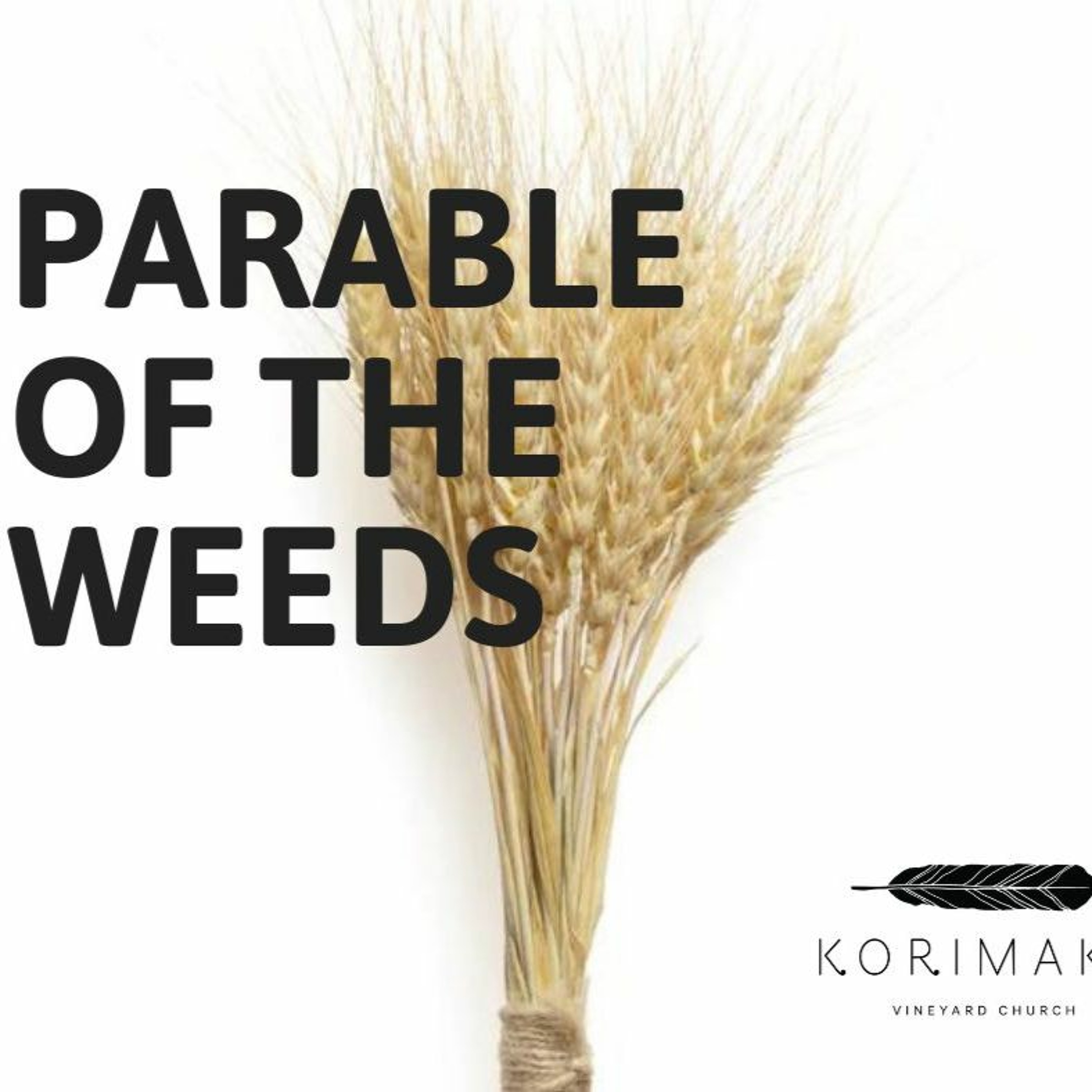 Sunday 6 June 2023// Parable of the Weeds episode artwork