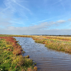 EDGE Of On&Off (Sackjepp Mix)