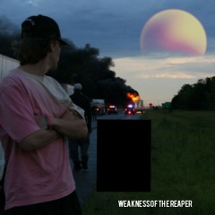 Weakness of the Reaper  Prod by -bloom