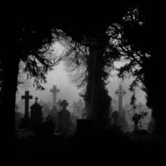 corpse bride w/ lavendr [noose]