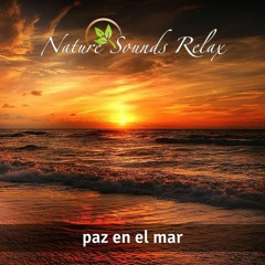 Episodio 25 - Paz En El Mar