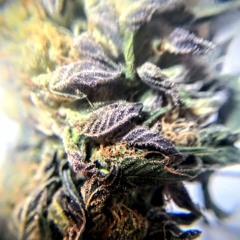 IW/\NN/\BETHE GXY´´