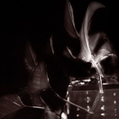 The Conditioner – For That Rare Elusive Thing // Hollywood Mix