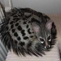 moody yet tempting soup