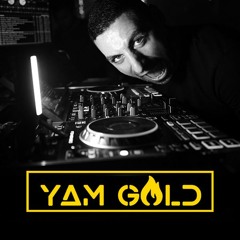 Yam Gold Group Mini Set - 2023