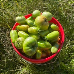 MUSIC FOR COMMERCIALS (IZAYA TIJI XAVIERSOBASED JACKZEBRA TYPE BEAT)