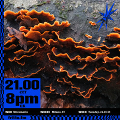 Ultramarín on Fritto FM 04.02.25
