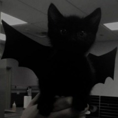 moxy x deadroots - anymore