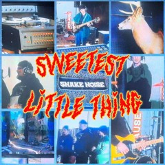 SLT (Flipping Rocks) by SNAKE NOISE  (2026 Sweetest Little Thing Jingle)