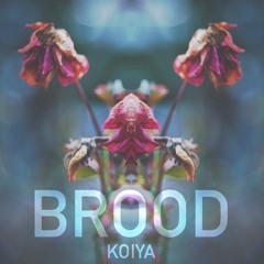 Brood