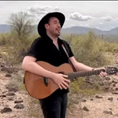 Chemical Overreaction (Acoustic) -Will Wood