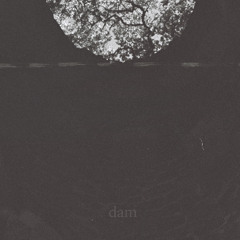 Dam