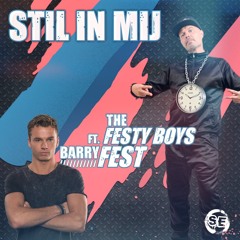 Stil in Mij (feat. The Festy Boys)