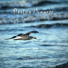 Fleeting Moments