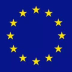 Vänsterpartiet - EU-valspecial
