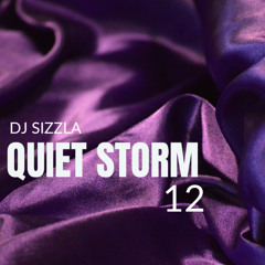 Quiet Storm 12