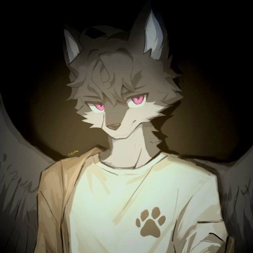 The Night