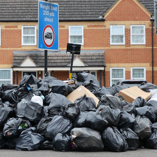 Birmigham Binworkers smelling rats