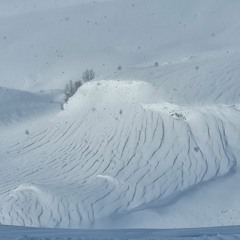 Breeze from the past