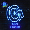 DJ Mes - U Can't Hide