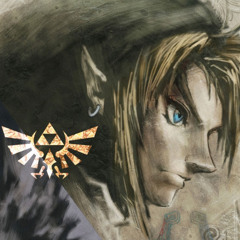 Twilight Princess Well Done