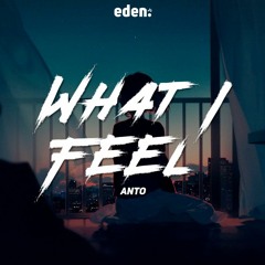 Anto - What I Feel (slowed To Perfection)
