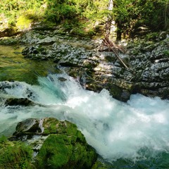 Polyploid b2b Zachte Korrels