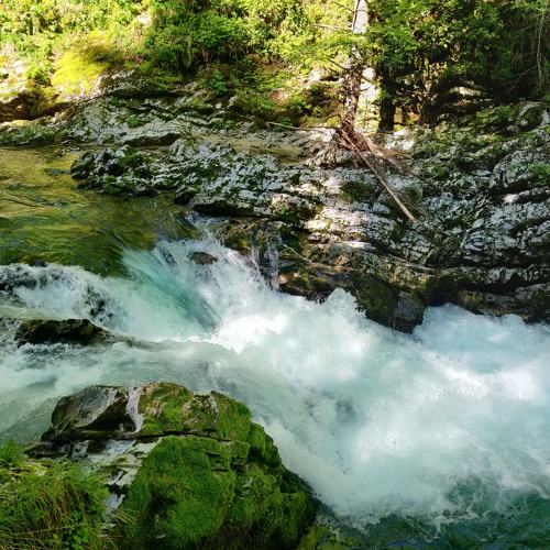 Polyploid b2b Zachte Korrels