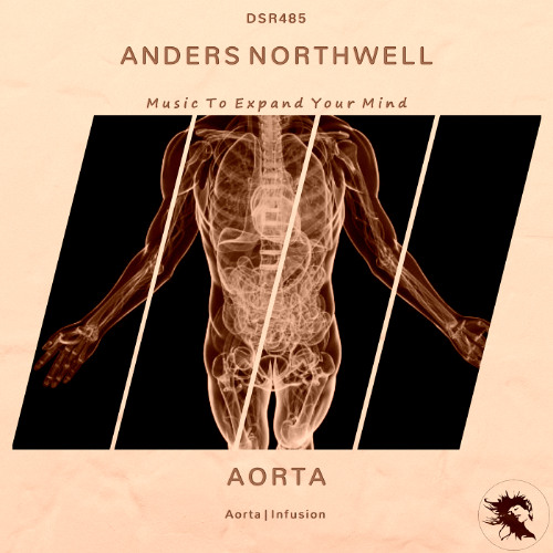 DSR485 | Anders Northwell - Infusion (Original Mix)