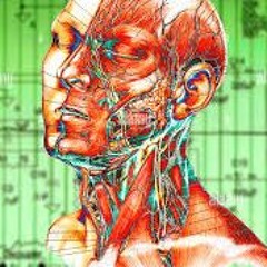Brain Sugar