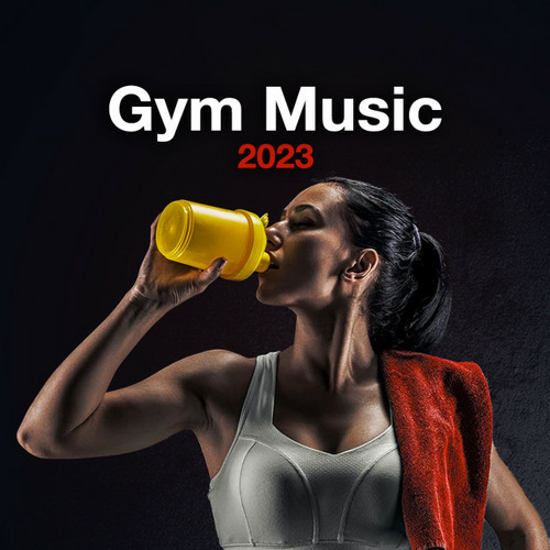 Stream NightFuryX Listen to Gym Music 2023 playlist online for free