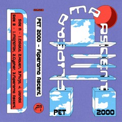 Pet 2000 - Fliperama Ascent