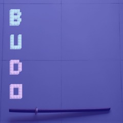 budo