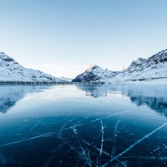 Freeze
