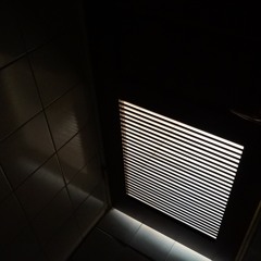 "Curling up in the dark toilet"